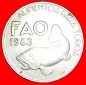 # KABELJAU FISCH: PORTUGAL ★ 25 ESCUDOS 1983 FAO!