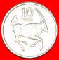 + GROSSBRITANNIEN (1976-1989): BOTSWANA ★ 10 THEBE 1989 FAO!...