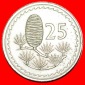 • ZEDER VON LIBANON: ZYPERN ★ 25 MILS 1971! OHNE VORBEHALT!
