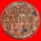 • LÖWE (1822-1836): NIEDERLÄNDISCH-INDIEN ★ 1/4 STUIVER ...