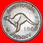 * PERTH (1955-1964): AUSTRALIEN 1 PENNY 1960! KÄNGURU LINKS! ...