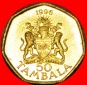 * SIEBENECK: MALAWI ★ 50 TAMBALA 1996 uSTG STEMPELGLANZ! OHN...