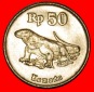 * DRACHEN (1991-1998): INDONESIEN ★ 50 RUPIAH 1996! STG STEM...