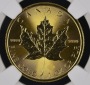 Kanada 50 Dollar 2022 | NGC MS66 | Maple Leaf