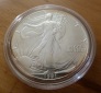 USA 1 Dollar 1991 Liberty/ 1 Oz Silber / Stgl.