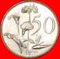 * BLUMEN: SÜDAFRIKA ★ 50 CENT 1966! Riebeeck (1619-1677) UN...