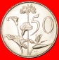* BLUMEN (1965-1990): SÜDAFRIKA ★ 50 CENT 1977 STG STEMPELG...