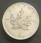 5 Dollars Kanada 2013 1 Unze Maple Leaf