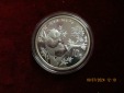 10 Yuan Panda China 1995 Silber 999er