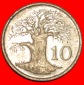 * GROSSBRITANNIEN (1980-1999): SIMBABWE ★ 10 CENT 1991 BAOBA...