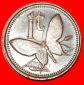 Ⰶ GROSSBRITANNIEN SCHMETTERLING (1975-2004): PAPUA-NEUGUINEA...