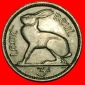 Ⰶ GROSSBRITANNIEN (1928-1935): IRLAND ★ 3 PENCE 1934 HASE!...