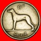 Ⰶ GROSSBRITANNIEN  (1942-1969): IRLAND ★ 6 PENCE 1946 IRIS...