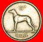 Ⰶ GROSSBRITANNIEN  (1942-1969): IRLAND ★ 6 PENCE 1960 IRIS...