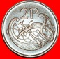 Ⰶ BOOK OF KELLS (1971-2000): IRLAND ★ 2 PENCE 1980! ★OHN...