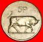 Ⰶ GROSSBRITANNIEN (1969-1990): IRLAND ★ 5 PENCE 1975 STIER...