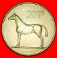 Ⰶ PFERD (1985-2000): IRLAND ★ 20 PENCE 1992!  ★OHNE VORB...