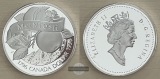 Kanada  1 Dollar 1996  McIntosh   FM-Frankfurt  Feinsilber: 23...