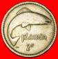 Ⰶ GROSSBRITANNIEN (1939-1968): IRLAND ★ 2 SHILLING-FLORIN ...