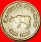 Ⰶ KUH FAO: NEPAL ★ 10 PAISA 2028 (1971) FEHLER! ★OHNE VO...