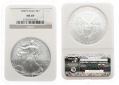 USA: 1 Dollar 2013, Walking Liberty/Silver Eagle, 1 Unze Feins...