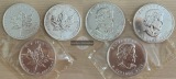 Kanada 3x 5 Dollar  2005 Maple Leaf   FM-Frankfurt   Feinsilbe...