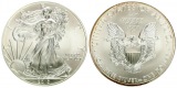 USA: 1 Dollar 2013, Walking Liberty/Silver Eagle, 1 Unze Feins...