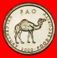 Ⰶ KAMEL (1999-2002): SOMALIA ★ 10 SHILLING 2000 STG STEMPE...