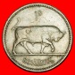 Ⰶ GROSSBRITANNIEN (1951-1968): IRLAND ★ 1 SHILLING 1966 ST...