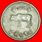 Ⰶ KUH (1971-1982): NEPAL ★ 5 PAISA 2032 (1975) FEHLER!★O...