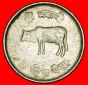 Ⰶ KUH (1971-1982): NEPAL ★ 5 PAISA 2035 (1978) FEHLER!  ...