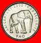 Ⰶ ELEFANT (1999-2002): SOMALIA ★ 5 SHILLINGS 2002 STG STEM...