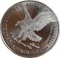 1 Oz Unze 31,1gr Liberty Eagle USA 2023 999 fein Titanium 40mm...