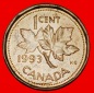 Ⰶ KRONE (1990-1996): KANADA ★1 CENT 1993! ELISABETH II. (1...