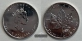 Kanada 5 Dollars 1999  FM-Frankfurt Feinsilber: 31,06g