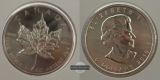 Kanada - 5 Dollar  2010  Maple Leaf   FM-Frankfurt    Feinsilb...