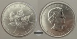 Kanada - 5 Dollar  2011  Maple Leaf   FM-Frankfurt    Feinsilb...