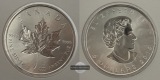 Kanada - 5 Dollar  2019  Maple Leaf   FM-Frankfurt    Feinsilb...