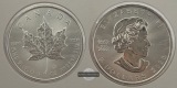 Kanada - 5 Dollar  2023  Maple Leaf   FM-Frankfurt    Feinsilb...