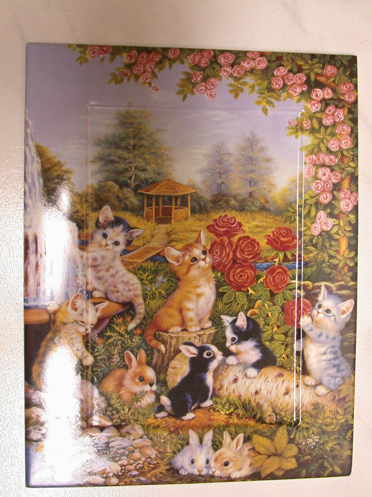  Katzen Sammel Bild aus Porzellan geringe Auflage Bradex  Annaburg   