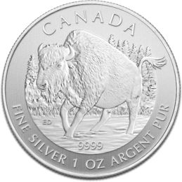  CANADA 2013 Bison - Waldbüffel 1 oz Silber st   