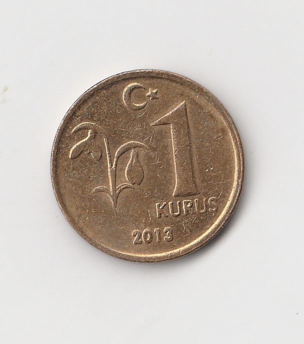  1 Kurus Türkei 2013 (I281)   