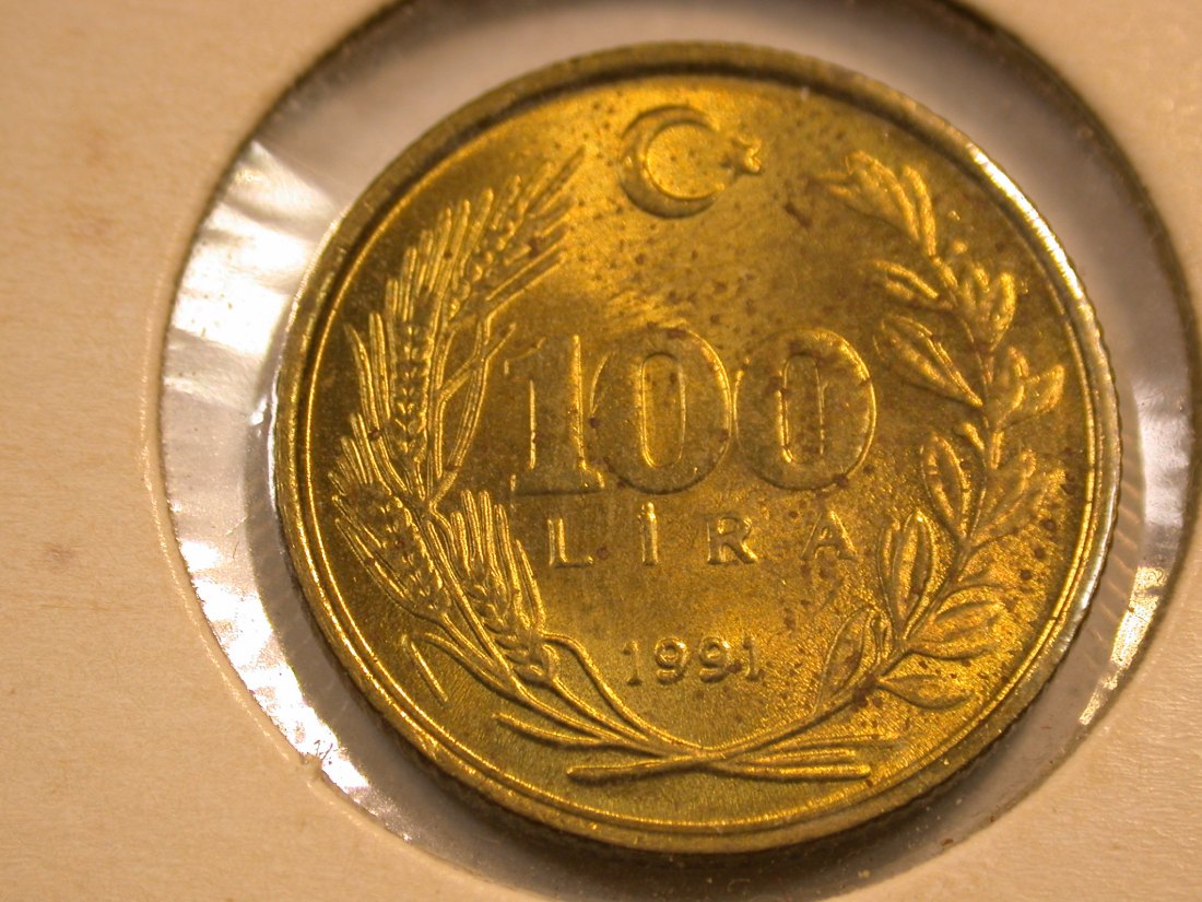  C10  Türkei 100 Lira 1991 in f.st  Orginalbilder   