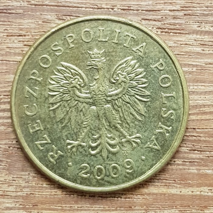  Polen 5 Groscy 2009 #1   