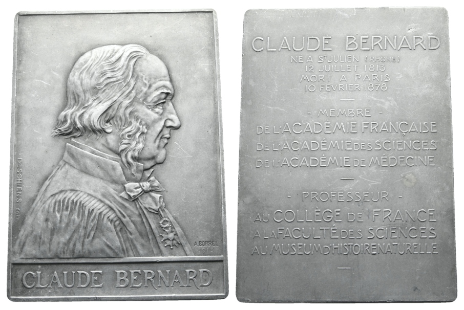  Frankreich, Claude Bernhatd, Plakette 1878, Zinn; 134,17 g, 80 x 111 mm   