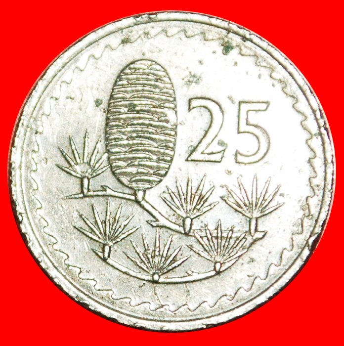  • CEDAR of LEBANON: CYPRUS ★ 25 MILS 1978! LOW START ★ NO RESERVE!   