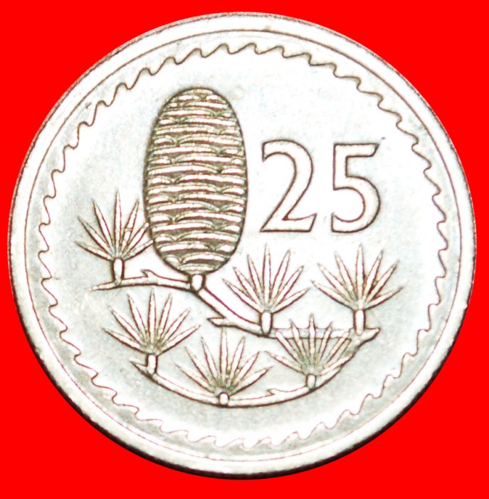  • ZEDER VON LIBANON: ZYPERN ★ 25 MILS 1976! OHNE VORBEHALT!   
