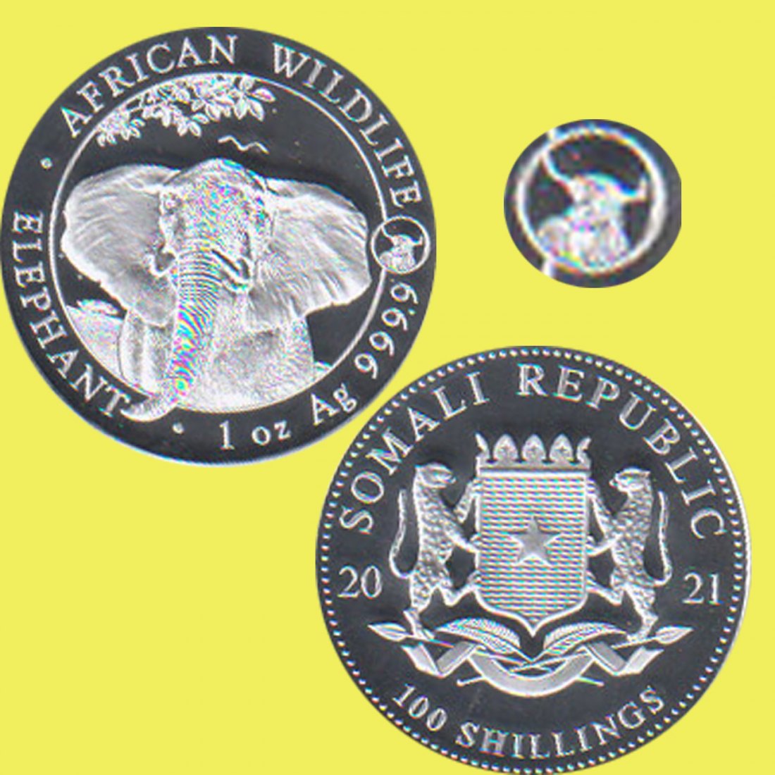  Somalia 100-Sh-Silbermünze *Elefant mit Privy Ochse* 2021 1oz Silber nur 10.000St!   