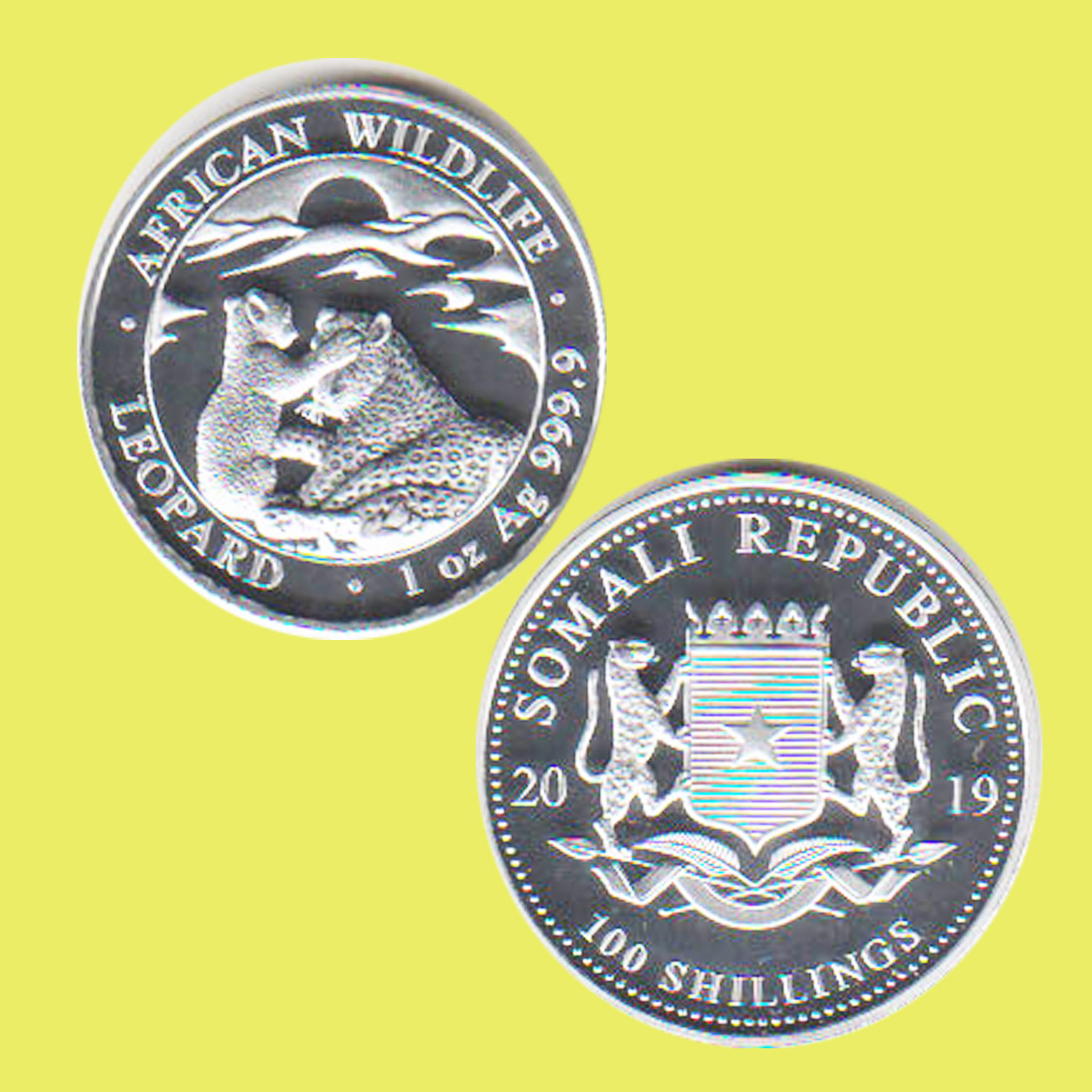  Somalia 100-Shilling-Silbermünze *Wildlife - Leopard* 2019 1oz Silber nur 30.000St!   