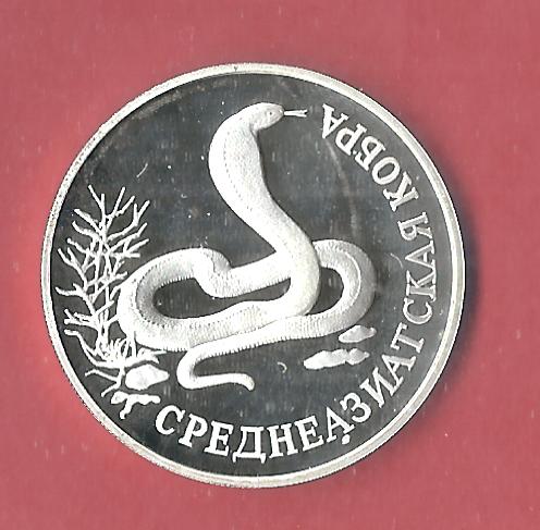  Russland 2 Rubel 1994 Kobra PP 17,75 Gr. Silber Münzenankauf Koblenz Frank Maurer p39   